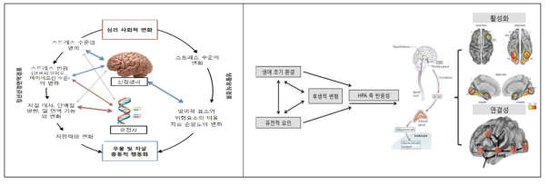 자해 및 타해 행동 예측을 다양한 이종 지표들(뇌연결성, 사회환경, 생체신호 등)