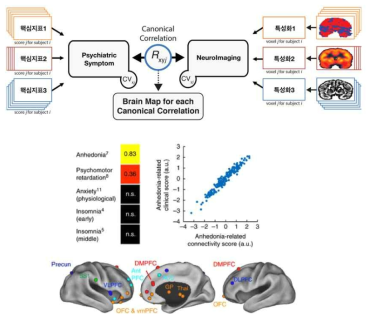 행동 및 뇌영상 생체 특성화 지표의 통합분석 시도