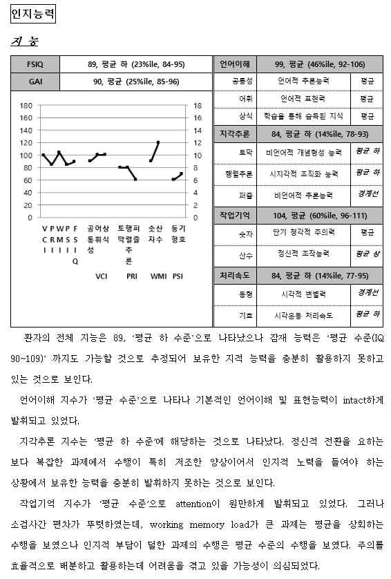 심리검사 보고서 예시