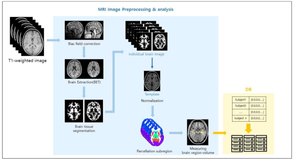 본 연구진이 새롭게 구축하려는 파이썬 기반 뇌영상 표준화 파이프라인