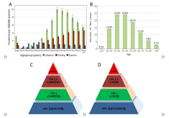 (A) 캐나다에서 발표한 연령별 자궁암, 난소암, 자궁경부암의 발생 비율. (B) 미국 NIH (National cancer institute) 에서 발표한 연령병 자궁경부암 발생율 (https://seer.cancer.gov/statfacts/html/cervix.html) (C) 전세계 및 (D) 국내 자궁경부암 단계별 발병자 수