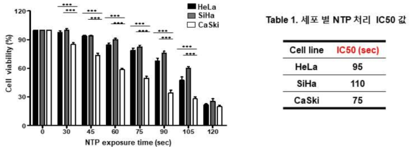 NTP 처리에 의한 세포 독성