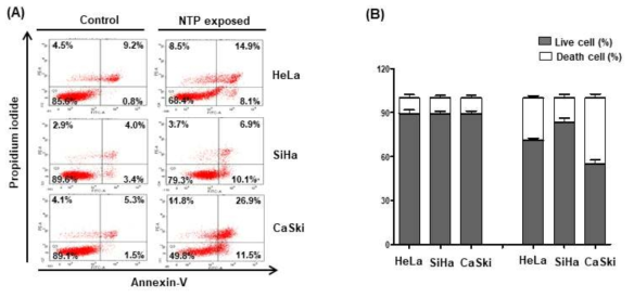 NTP 처리에 의한 세포사멸 유세포분석 (FACS) (A), 정량 그래프 (B)