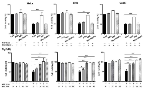 NTP 유도 세포독성에서 (A) RONS scavengers인 PTIO, N-acetyl-L-cysteine (NAC), Mito-TEMPO 처리에 의한 효과 (B) general ROS scavengers 인 NAC의 dose-dependent 효과