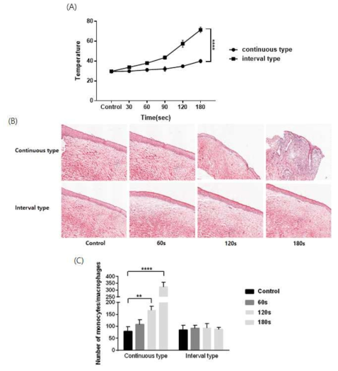 NTP 처리방법에 따른 피부온도(A), 피부변화 및 염증 H&E staining(B), NTP처리방법 및 시간에 따른 면역세포의 recruit 분석(C)