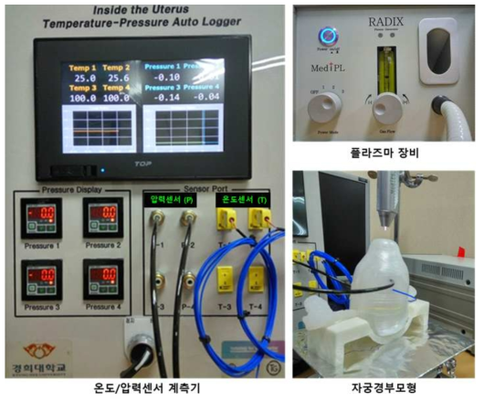 온도/압력 측정 장비, 플라즈마 장비, 및 자궁경부 모형
