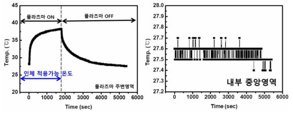 자궁경부모형에서 플라즈마 조사 위치 (입구영역, 중앙영역)에 따른 온도변화