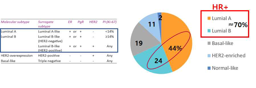 유방암 subtyp별 발병률 (TCGA, 2012)