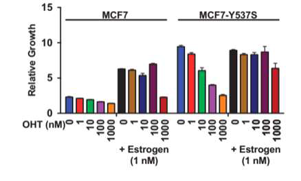 ER 독립적 암화능과 항호르몬요법 내성능 검증 (Oncogene, 2017)