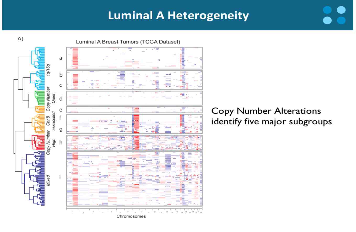 ER 양성 luminal A type에 대한 분자적 이질성 (TCGA, 2012)