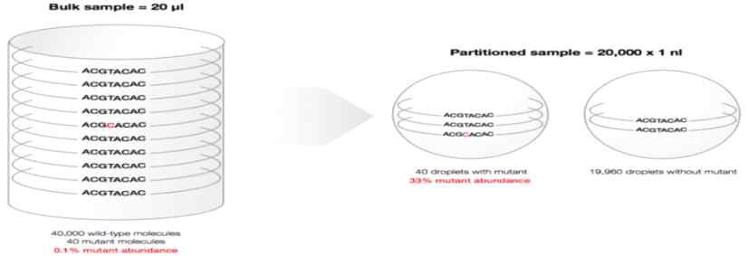 기존 PCR방법 (Bulk sample)대비 Droplet PCR의 장점 (Bio-Rad)