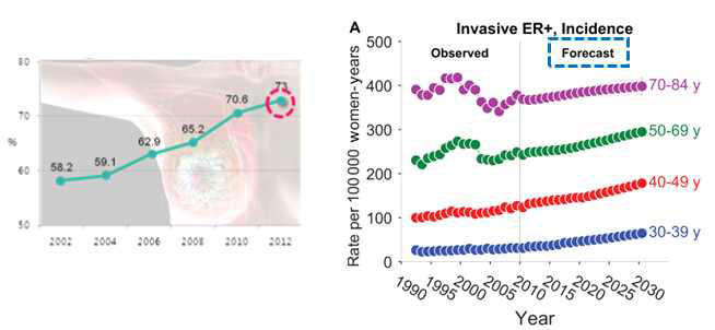 국내(좌,한국유방암학회, 2014)/국제(우, J Natl Cancer Inst, 2015) ER 양성 유방암 발병률
