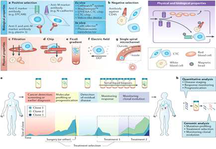 CTC와 ctDNA 임상 유용성 (Nature Reviews Cancer, 2014&2017)