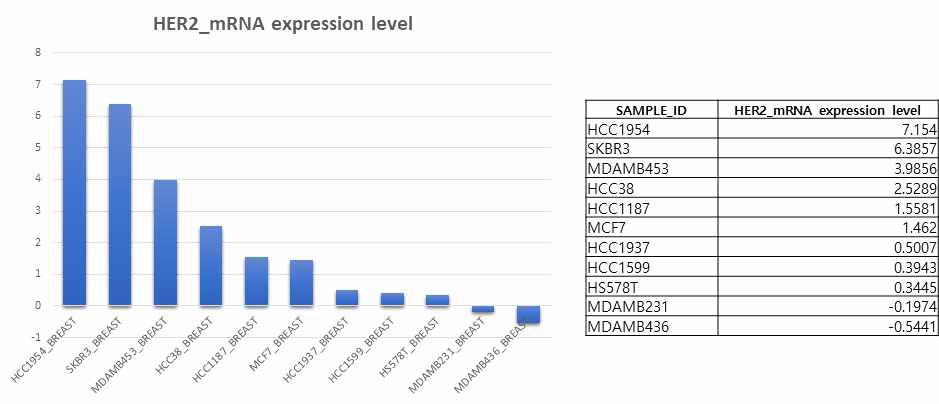 세포주 별 HER2 mRNA 발현 (CCLE database)