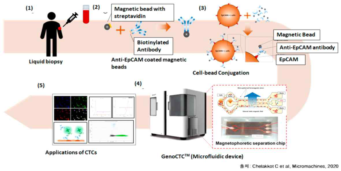 순환종양세포 분리 프로토콜