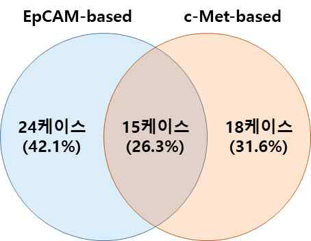 순환종양세포가 분리된 혈액샘플