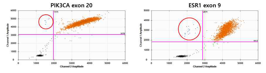 CTCs DNA ddPCR 대표이미지 (BR012-017 EpCAM-CTCs)