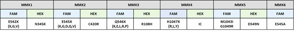 ddPIK3CA mutation test (RUO) 키트 구성