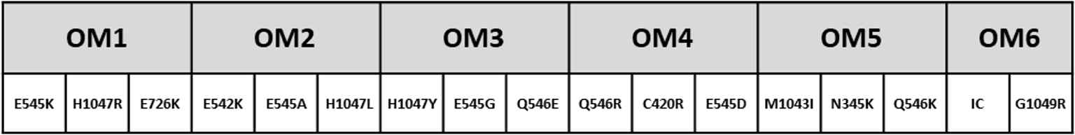 Oligo Mix에서 검출하는 PIK3CA mutation subtype