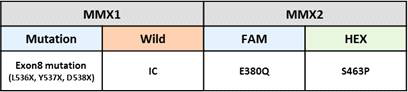 ddESR1 mutation test kit (IUO), MMX 구성