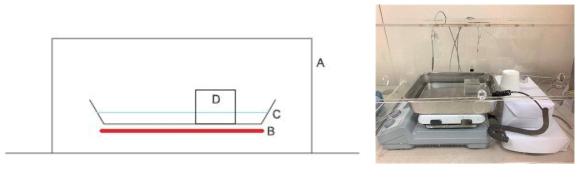 온도 측정 설비 모식도/ 실제 A. acrylic box; B. hot plate; C. tray containing water; D. silicon phantom