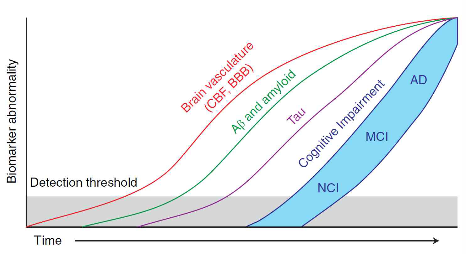 기존 알츠하이머 바이오마커 순차적 모델 (Jack et al., 2010)에 뇌 혈관계 변화가 아밀로이드, 타우 바이오마커에 선행해서 나타날 가능성이 있음을 시사하는 모식도 (Iturria-Medina et al., 2016; Sweeny et al., 2018)