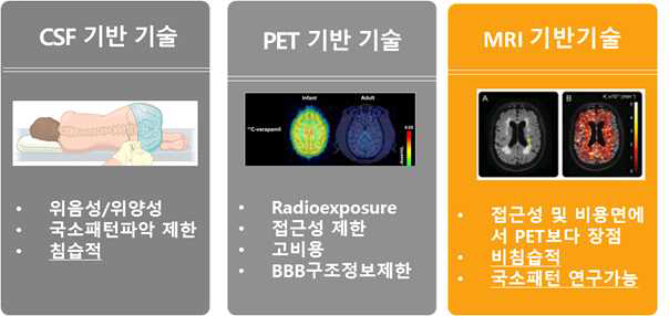 치매에서 BBB 투과도 바이오마커 발굴 및 국소 손상 패턴 연구에서 MRI 기반 기술의 장점