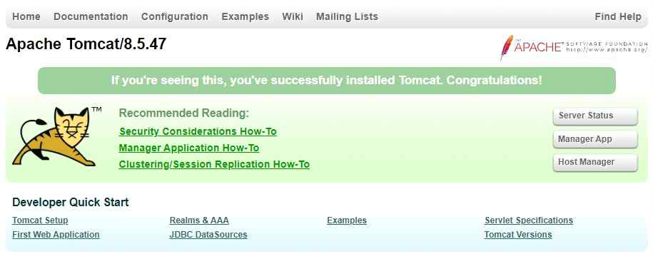 Apache tomcat 8.5.47에 접근한 웹사이트