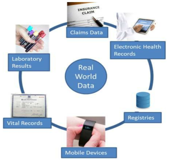 Real World Data 정의