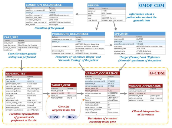 CDM 표준용어로 유전자 정보를 표준화하기 위해 제안된 테이블 구조