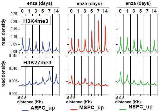 Promoter histone marks shift. H3K4me3 (upper) and H3K27me3 (lower) peaks of ARPC, MSPC and NEPC upregulated genes (defined in Figure 1A) in LNCaP enzalutamide time series histone marker Chip-sequencing. Distance = distance from transcription start site