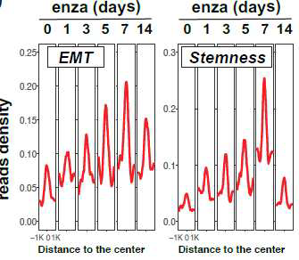 ATAC-seq peak summits of EMT-related genes and stemness-related genes