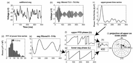 Michael X Cohen. Assessing transient cross-frequency coupling in EEG data. Journal of Neuroscience Methods 2008;168(2):494–499
