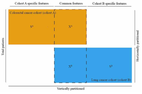 Cohort 별 데이터 분산 설계. (가로 축 – sample spaces, 세로 축 – feature spaces)