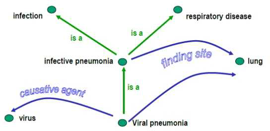 “viral pneumonia”의 “is a” 예시