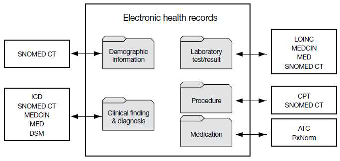 Use of terminology in electronic health records