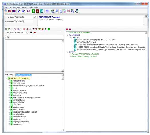 SNOMED CT의 Hierarchy 구조