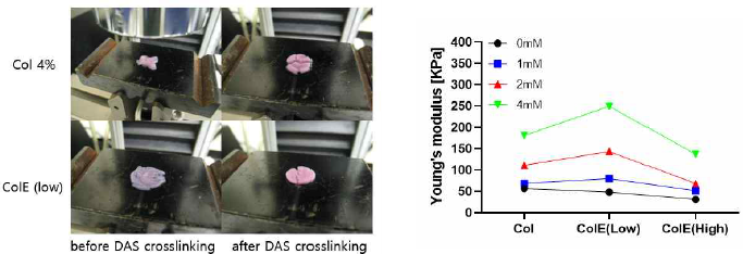 강성 측정 후 원형 샘플의 모습 (좌), DAS 함량에 따른 Young’s modulus 값(우)