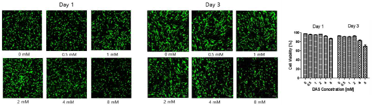 개발된 바이오잉크의 생체적합성 평가 및 DAS의 최적 농도