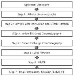 Process Flow