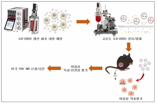 연구개발 개념도