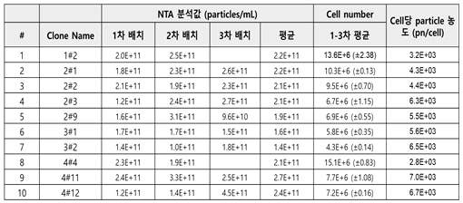 안정화 세포주 후보의 세포 내 srIkB 발현 및 엑소솜 탑재 분석