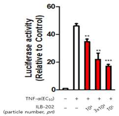 HEK293-NF-kB Luciferase Reporter cell에서 srIkB 의NF-kB 활성 억제 확인
