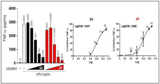 LPS로 유도한 세포모델(THP-1)에서 ILB-202의 효능 평가