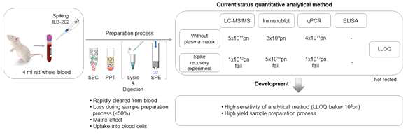 혈액 시료에서 ILB-202의 정량분석방법 개발 상황