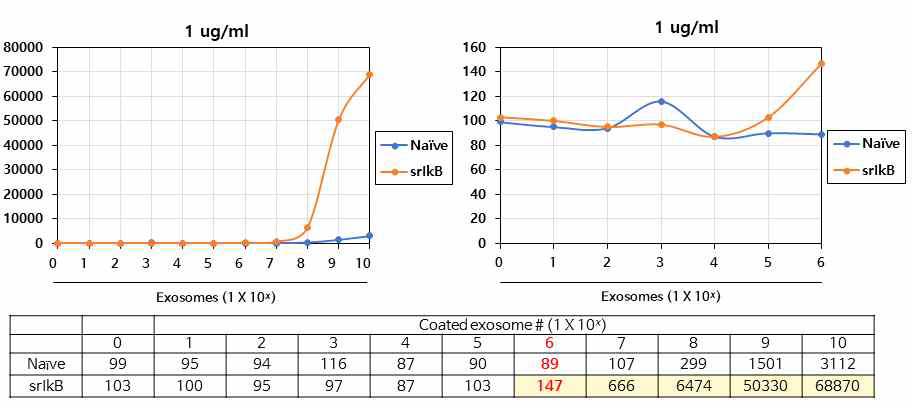 엑소솜 particle number 기준으로 검출한계를 확인하기 위한 예비시험 결과