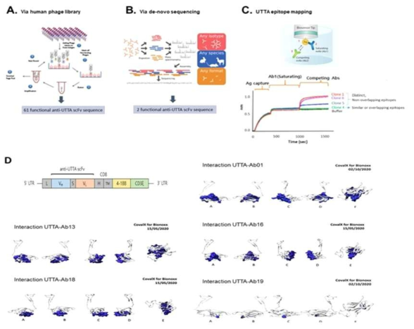 UTTA epitope mapping