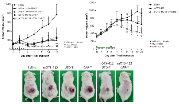 in vivo mOTS-412 및 OTS-412 병용처리에 따른 UTTA CAR-T 세포 항암효과 검증