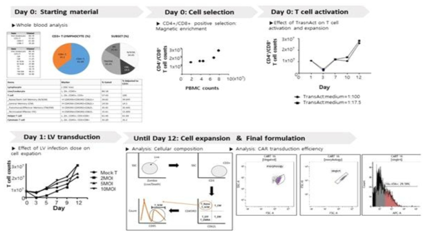 CAR-T 세포 대량생산을 위한 제조공정 개발
