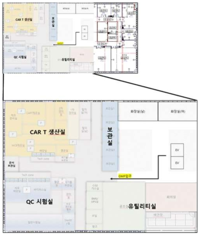 세포치료제 GMP 시설 도면